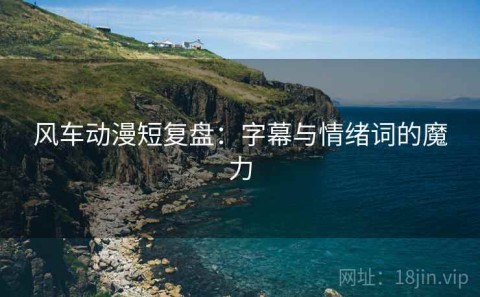 风车动漫短复盘：字幕与情绪词的魔力